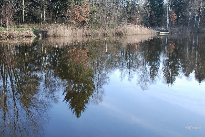 Weerspiegeling Beverbeek.JPG - Weerspiegeling Beverbeek